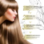 EELHOE Multioil Formula for Hair Growth - 60ml - Image 3