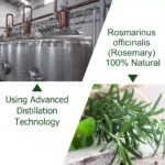 Kizenka Rosemary Essential Oil - 60ml - Image 6