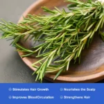 Nifeishi Rosemary Essential Oil - 120ml - Image 11